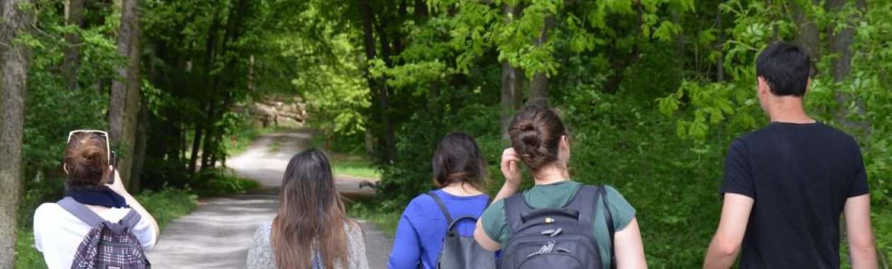 Students taking pictures of green trees in Europe 
